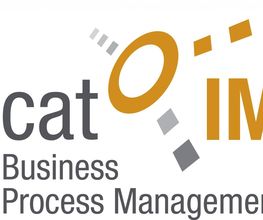 binner IMS
Intelligent Management Solutions Logo