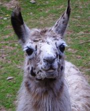 Kommen Sie uns besuchen!