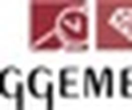 Uhren Schmuck Augenoptik Priggemeyer Logo