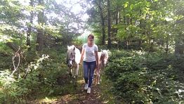 Frau führt zwei Pferde auf einem Waldweg bei sonnigem Wetter.