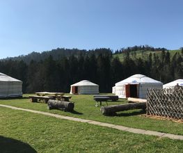 Campingplatz mit mehreren Jurten und Holzbänken auf einer grünen Wiese, umgeben von Wald.