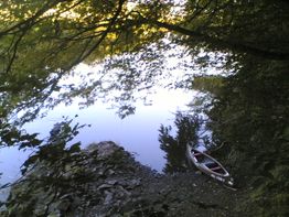 Ein Kanu liegt ruhig am Ufer eines Sees, umgeben von dichtem, grünem Blätterdach.