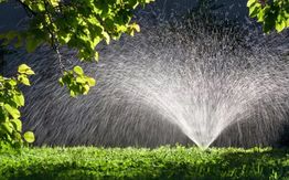 Sprinkler watering green grass under sunlit trees.