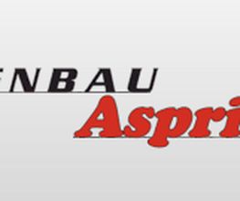 Asprion Ofenbau Logo