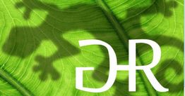Grünes Blatt mit Geckoschatten und weißen Buchstaben.