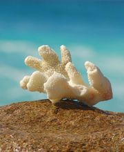 Jetset Holidays Logo