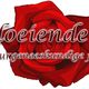 Logo van De Bloeiende Roos, natuurgeneeskundige praktijk, met een rode roos op de achtergrond.