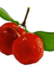 Rebase Cosmetics GmbH Logo