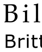 BildWert Britta Hilpert Logo