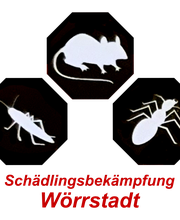 Symbole von Schädlingen (Maus, Insekt) mit rotem Text "Schädlingsbekämpfung Wörrstadt".