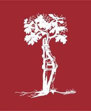 OGP Orthopädische Gemeinschaftspraxen Logo