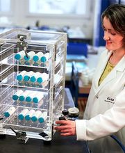 Frau in Laborkittel betrachtet einen Glaskasten mit röhrenförmigen Objekten auf Regalen.