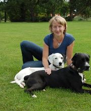 Hundephysiotherapie rehadogs Logo