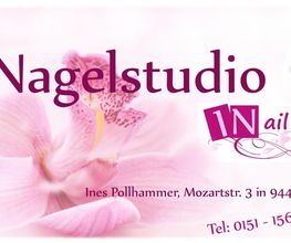 INailES Logo