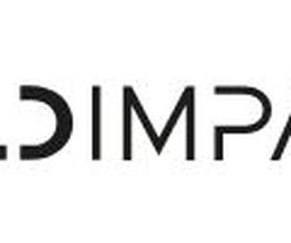 Bold Impact Logo
