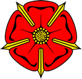 Rote Tudor-Rose mit gelben Akzenten auf schwarzem Hintergrund.