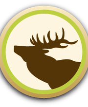 Werbeagentur Platzhirsch GmbH Logo