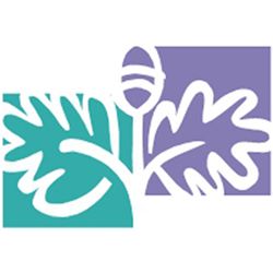 Ilustración de hojas verdes y moradas sobre fondo de dos tonos, con una bellota en el centro.