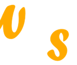 Wawi2Shop Logo