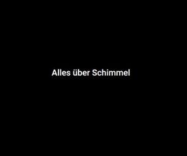 Schwarzer Hintergrund mit weißem Text: "Alles über Schimmel".