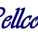 Blauer Wellcosma-Schriftzug in geschwungener Schrift auf weißem Hintergrund.