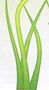 Grüne, geschwungene Linien auf weißem Hintergrund, die Gras oder Pflanzendesign darstellen.