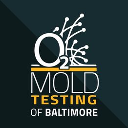 Logo for "O2 Mold Testing of Baltimore" with abstract fungal artwork on a dark background.