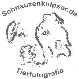 Zeichnung eines Hundes, umgeben von Text: "Schnauzenknipser.de Tierfotografie".