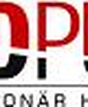 REDPUR Center Berlin Logo