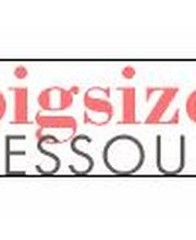 bigsize-dessous Logo