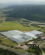 Luftbild vom Pflanzenforum Süd-West