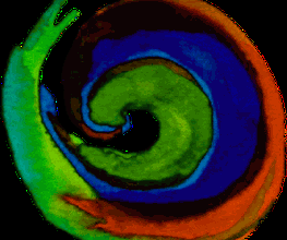 Meine Vitatheka Logo