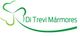 Logotipo da Di Trevi Mármores com um trevo verde estilizado à esquerda.