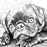 Schwarz-weiß Zeichnung eines Mops-Hundes, der mit traurigem Blick auf einer Couch liegt.