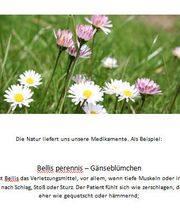 Naturheilmedizin: Natur hilft heilen mittels Homöopathie
