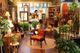 Cozy vintage store interior with plants, eclectic furniture, and decorative items in warm lighting.