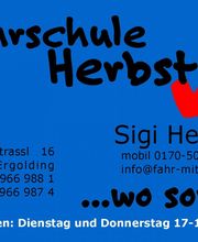 Fahrschule Herbst Logo