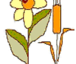 EdS-Parfums Logo