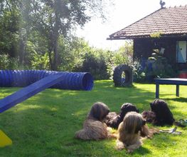 Hundearbeit in ruhiger und entspannter Atmosphäre!