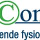 Logo van FysioCompany met de tekst "samenwerkende fysiotherapeuten".
