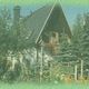 Grünes Landhaus mit spitzem Dach, umgeben von Bäumen und buntem Garten im Vordergrund.