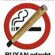 Nicht rauchen Schild mit E-Zigarette; Text: "Rauchen verboten, RUYAN erlaubt".