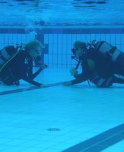 Saschas Tauchschule Logo