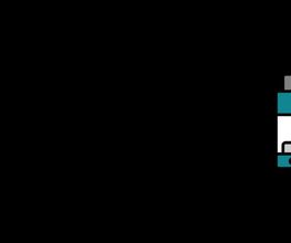 Die Vape Junkies Logo