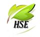 Logo mit zwei grünen Blättern und dem Schriftzug "HSE" darunter.