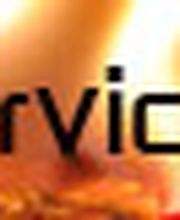 gz-brandservices Ingo Zehnpfenning Logo
