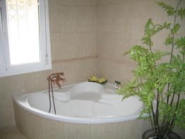 Eckbadewanne mit Pflanzen und Pflegeprodukten; Fenster an der linken Wand.