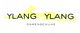 Logo von "Ylang Ylang Damenschuhe" mit gelbem Hintergrund.