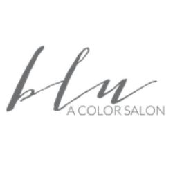 "Logo with 'blu A COLOR SALON' in elegant script font."
