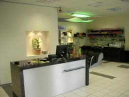 Modernes Friseurstudio mit Empfangstresen, Pflanzen und Regalen voller Haarpflegeprodukte.